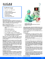 Cystoscopy