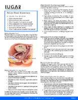 Pelvic Floor Exercises