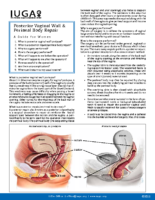 Posterior Repair and Perineal Body Repair